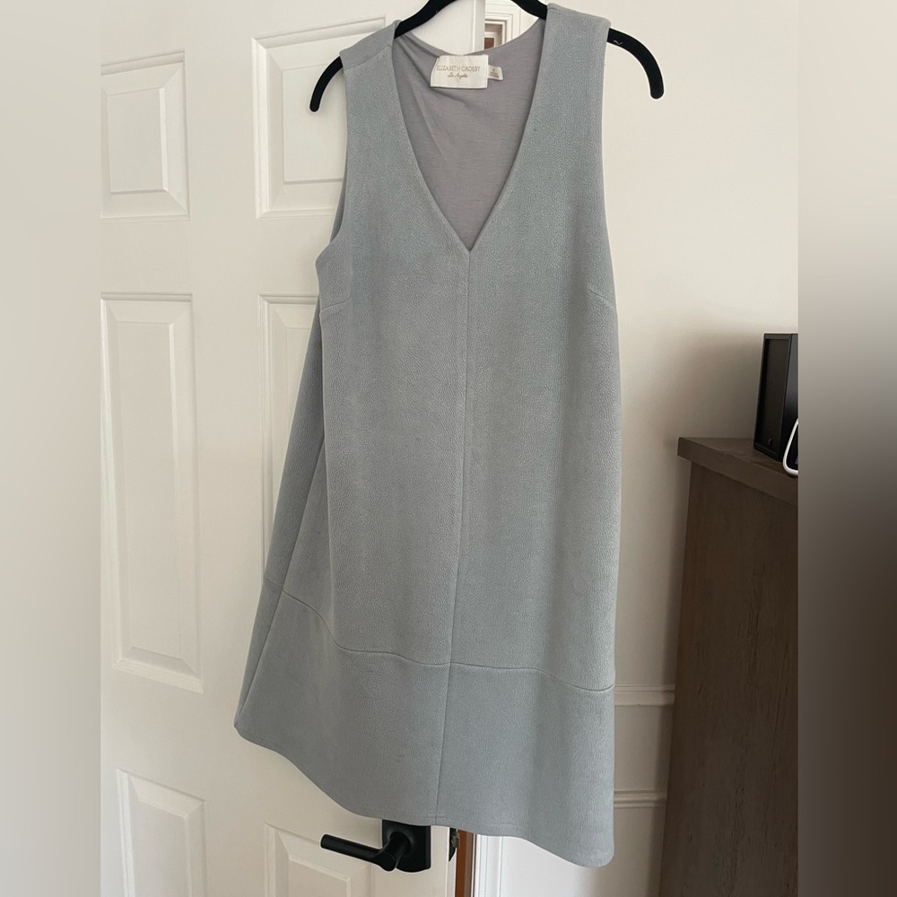 Anthropologie Suede Dress